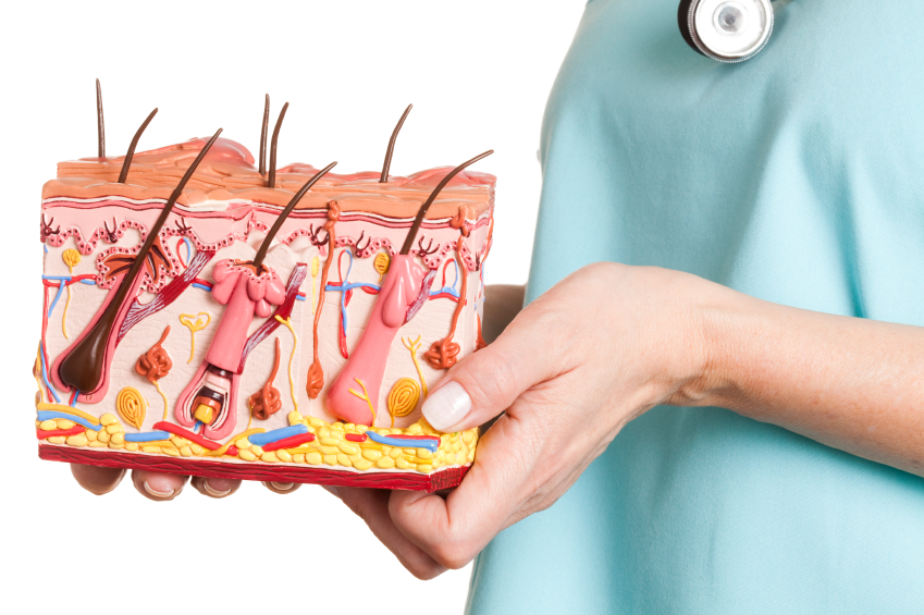 General Dermatology 1